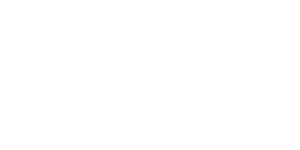 FC 25
