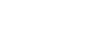 Steam